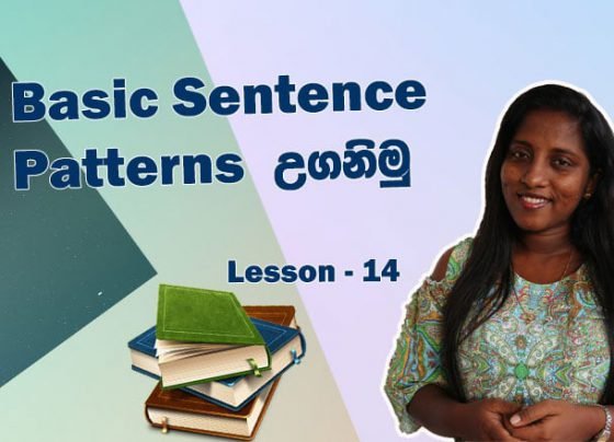 Basic Sentence Patterns in English