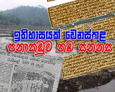 පනාකඩුව තඹ සන්නස