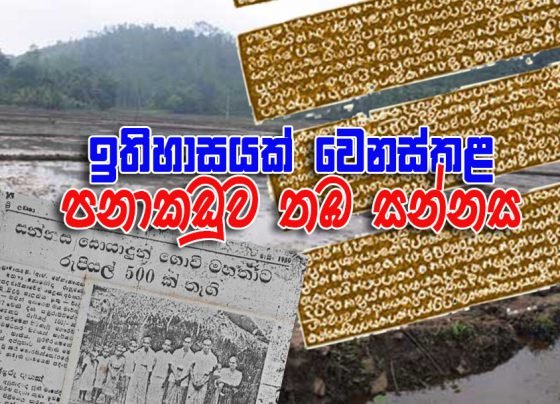 පනාකඩුව තඹ සන්නස