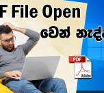PDF sinhala